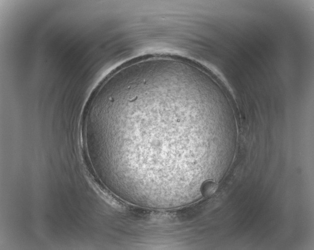 X0000079340887200612011931