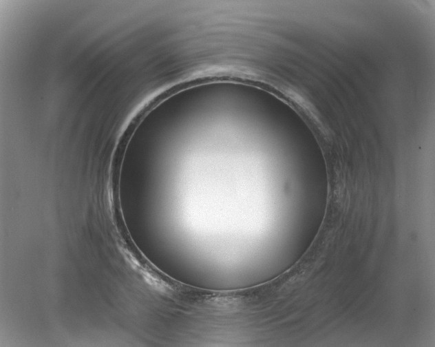 X0000079340888200612011931