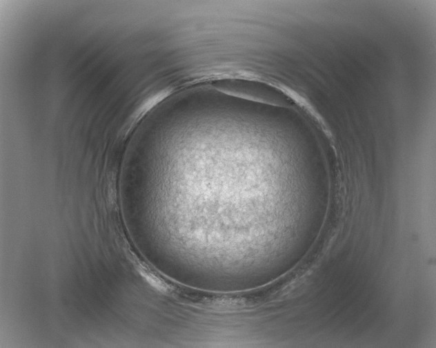 X0000079340889200612011931