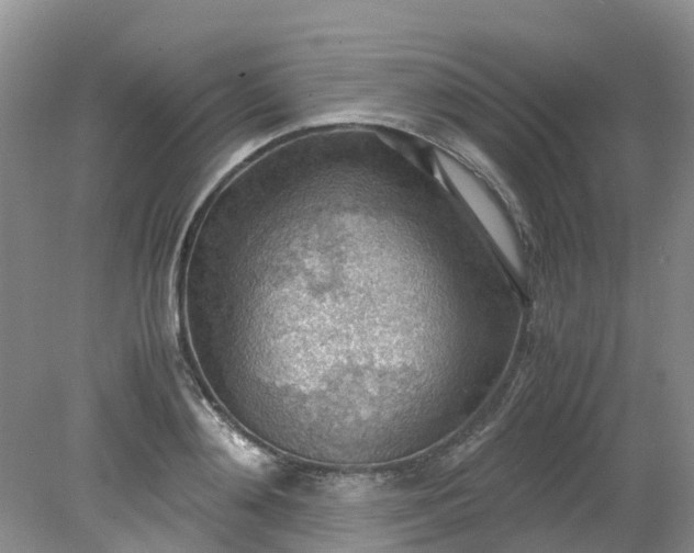 X0000079340892200612011931