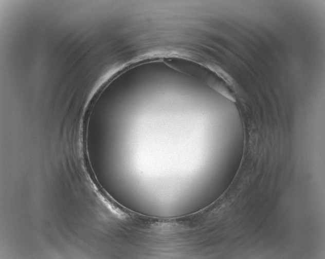 X0000079340894200612011931