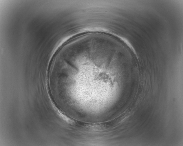 X0000079340895200612011931