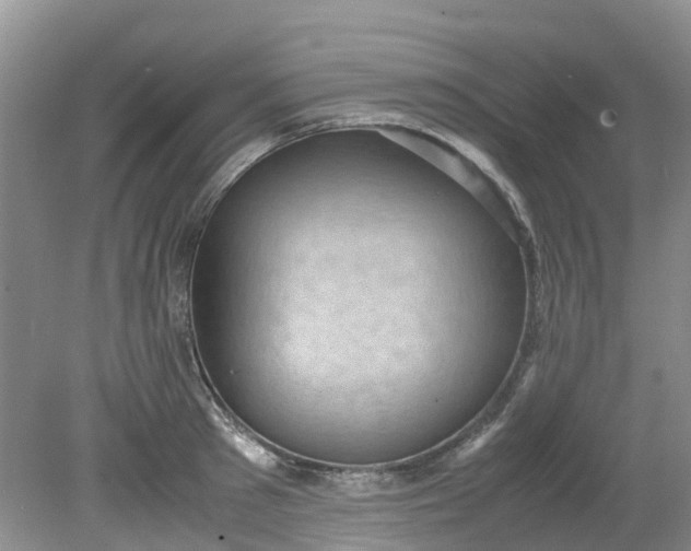 X0000079340897200612011931