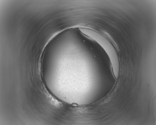 X0000079340900200612011931