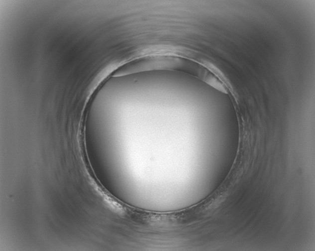 X0000079340901200612011931