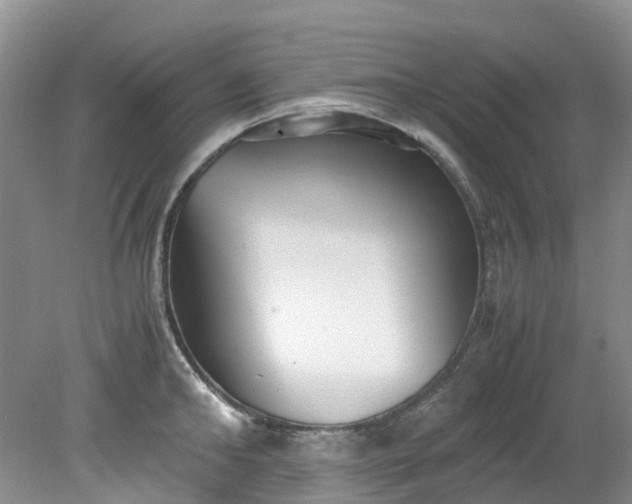 X0000079340902200612011931