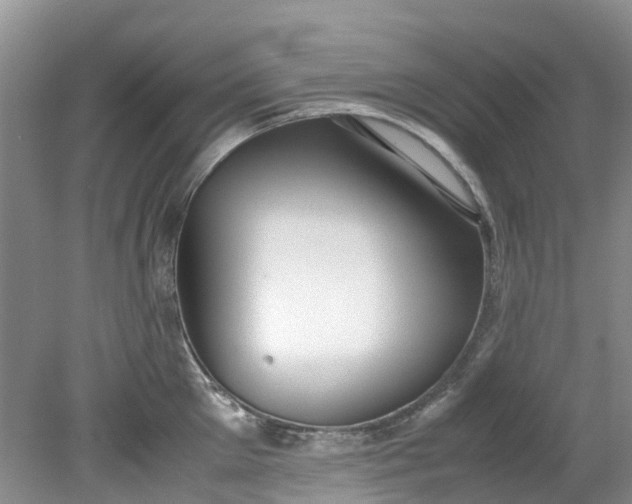 X0000079340905200612011931