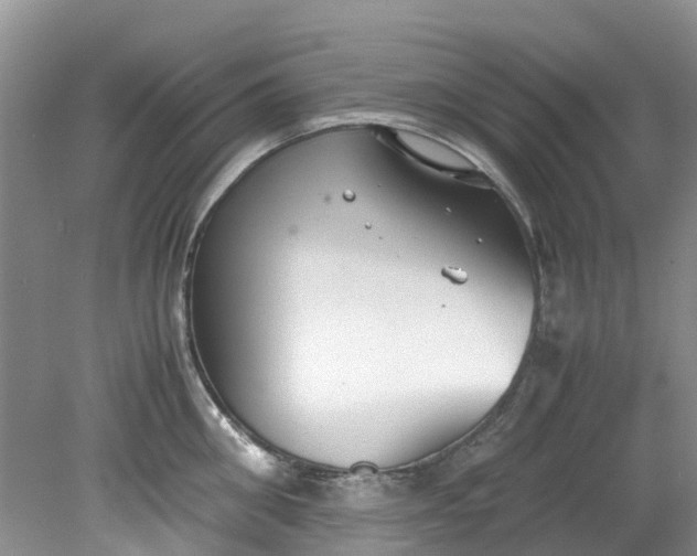 X0000079340906200612011931