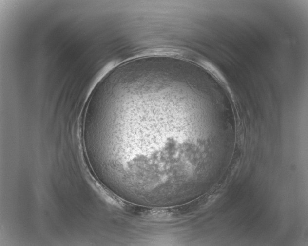 X0000079340907200612011930