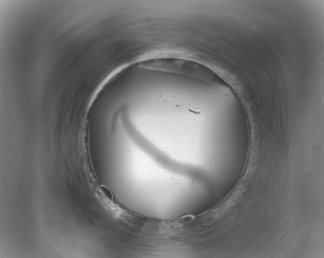 X0000079340912200612011930