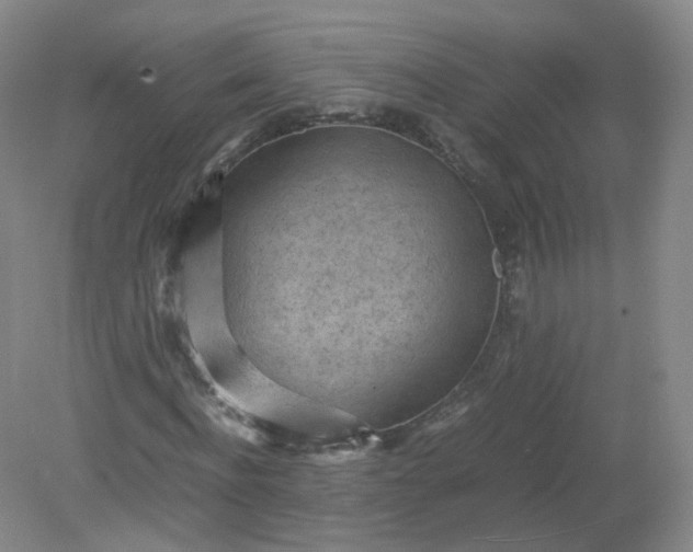 X0000079340916200612011930