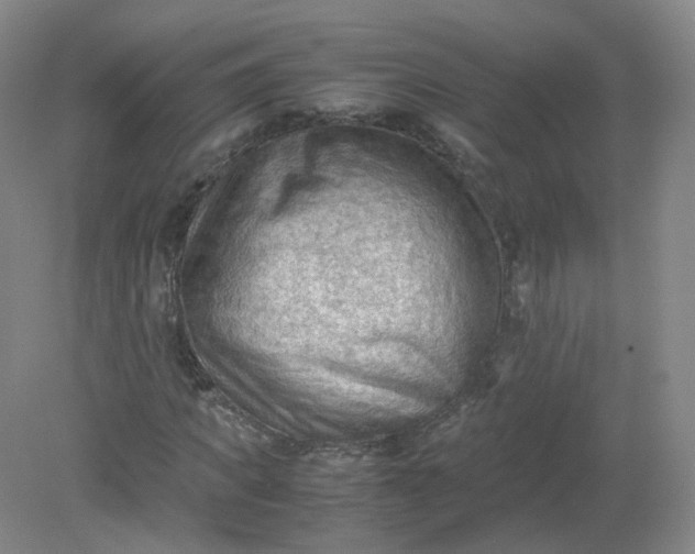 X0000079340917200612011930