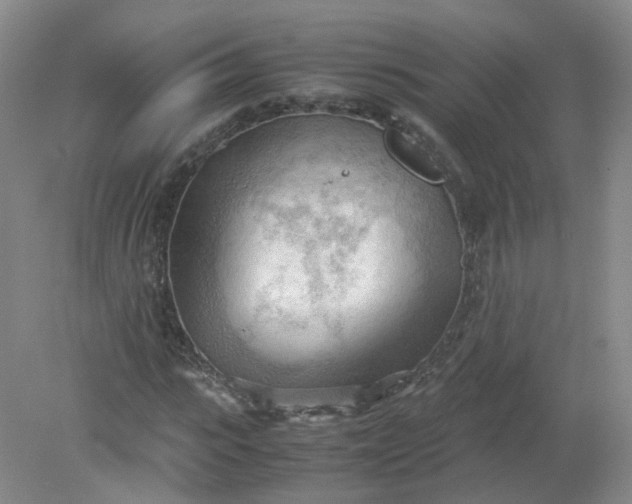 X0000079340919200612011930