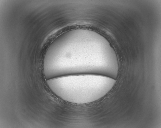 X0000079340920200612011930