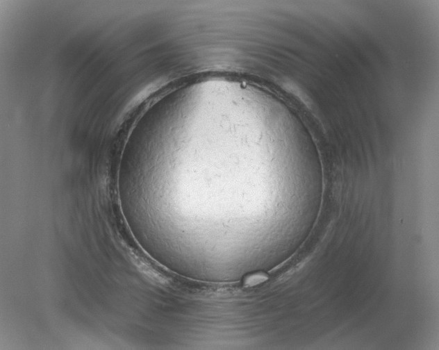 X0000079340922200612011930