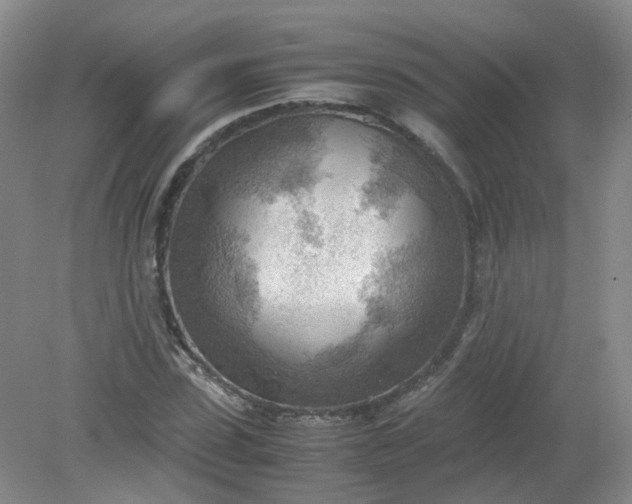 X0000079340923200612011930