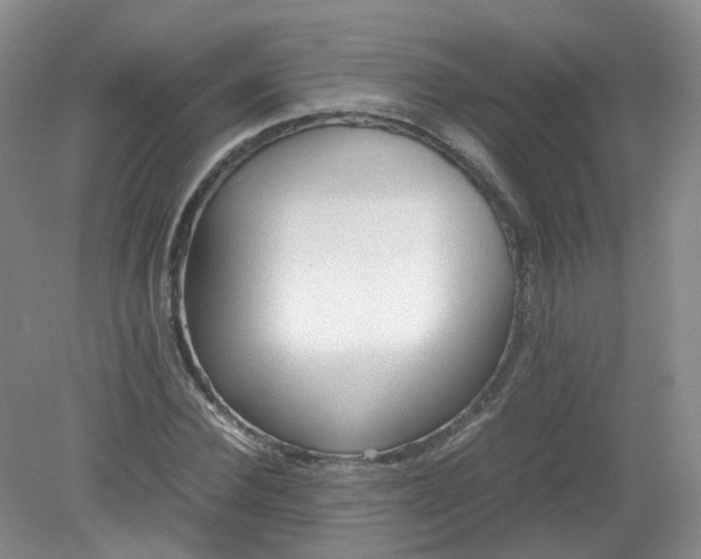 X0000079340924200612011930