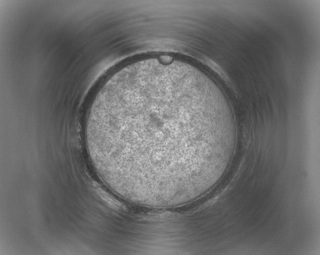 X0000079340926200612011930