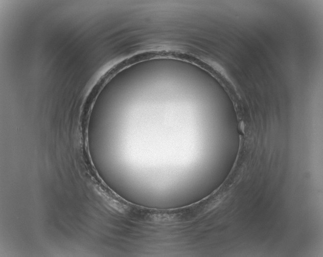 X0000079340927200612011930