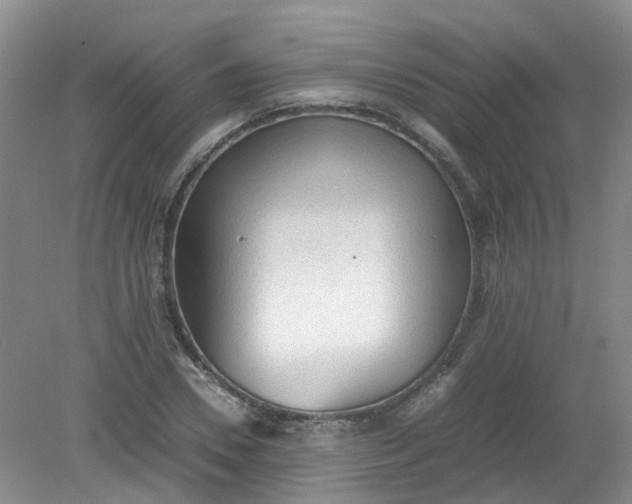 X0000079340930200612011930