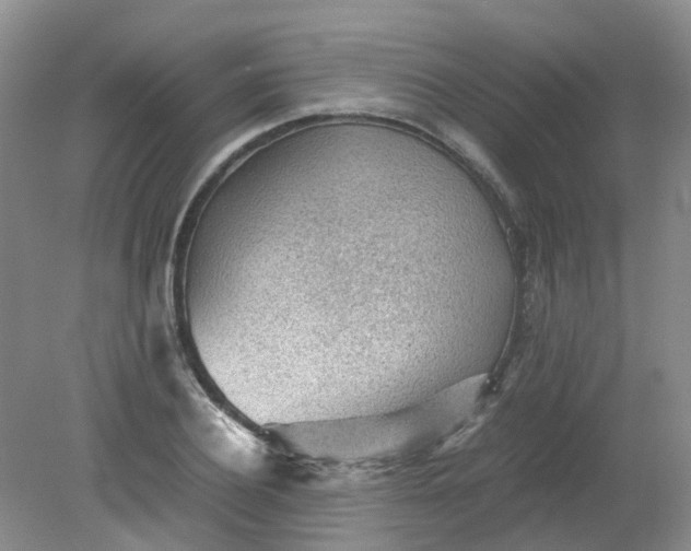 X0000079340932200612011930