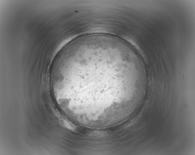 X0000079340933200612011930