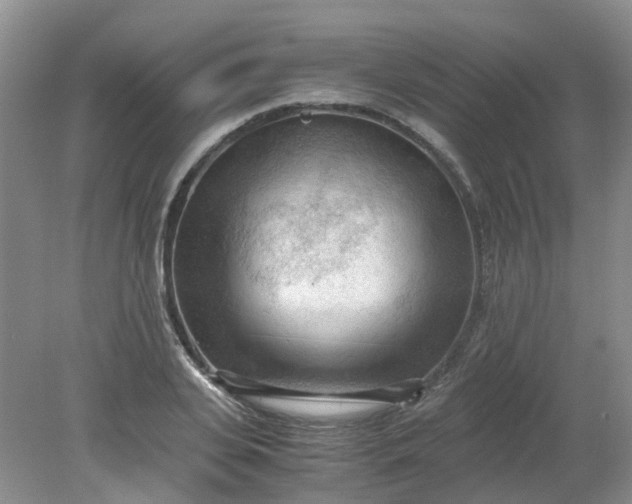 X0000079340935200612011930