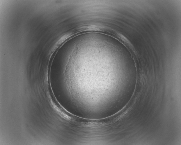 X0000079340938200612011930