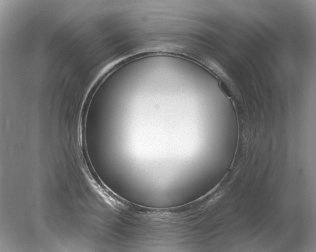 X0000079340940200612011930