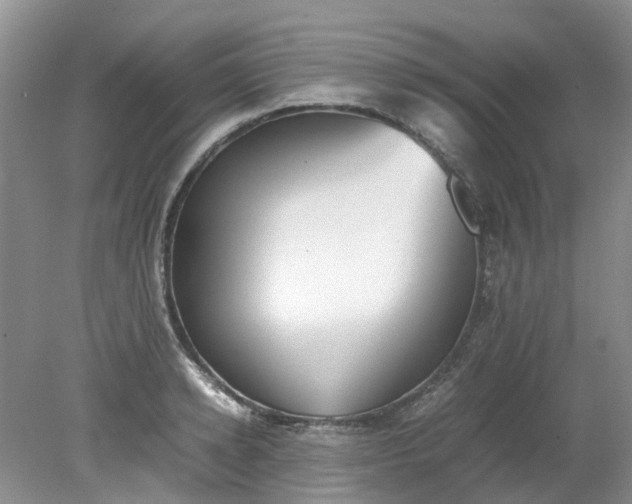 X0000079340942200612011930