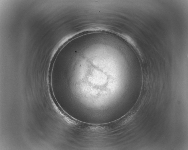 X0000079340943200612011930