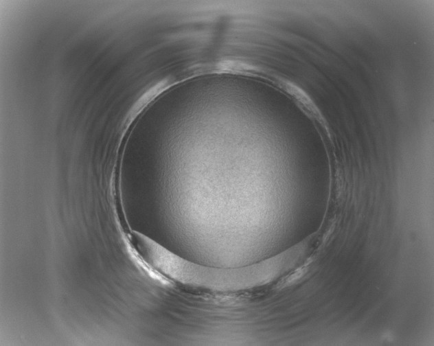 X0000079340946200612011930