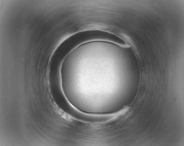 X0000079340948200612011930