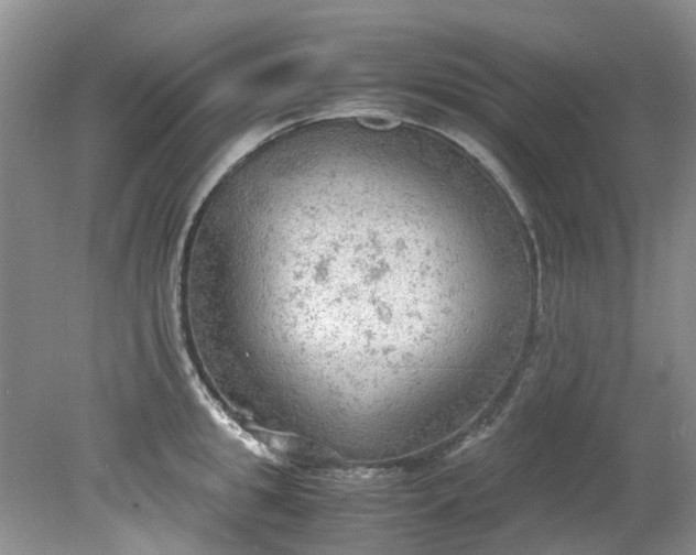 X0000079340949200612011930