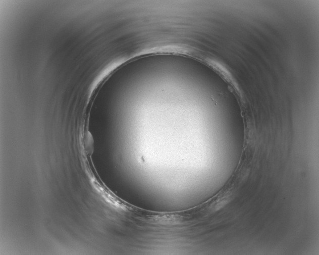 X0000079340952200612011930