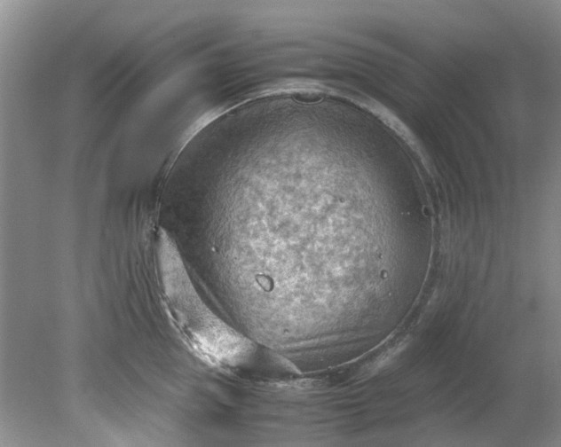 X0000079340953200612011930