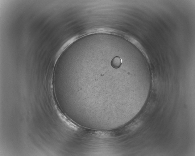 X0000079340954200612011930