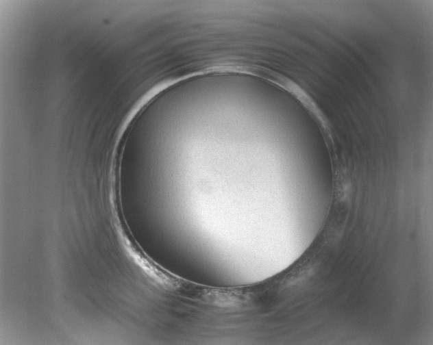 X0000079340955200612011930