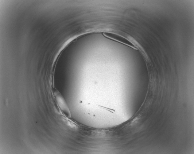 X0000079340956200612011930