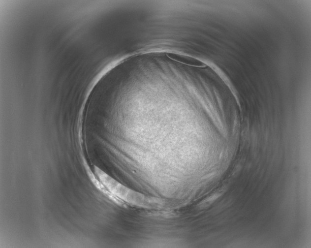 X0000079340957200612011930