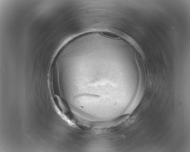 X0000079340958200612011930