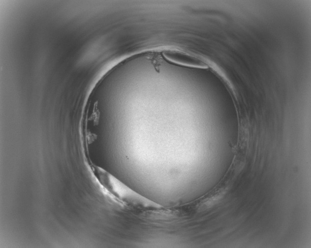 X0000079340959200612011930