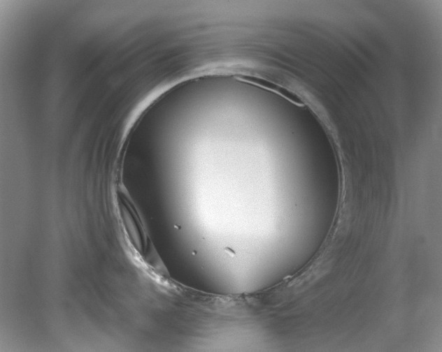 X0000079340960200612011930