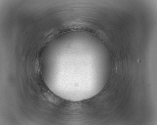 X0000079340964200612011930