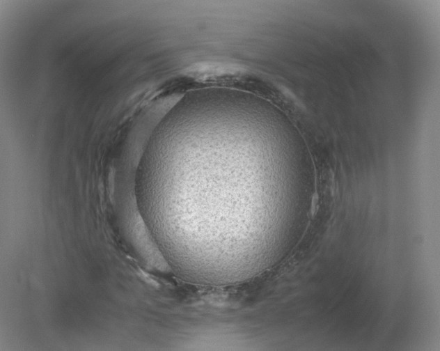 X0000079340965200612011930