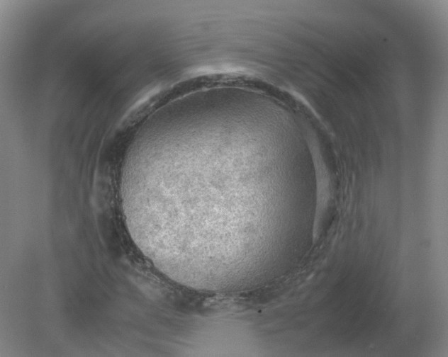 X0000079340967200612011929