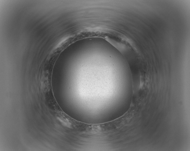 X0000079340968200612011929