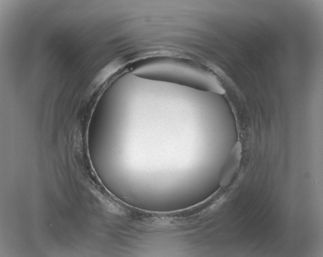 X0000079340969200612011929