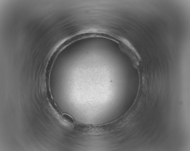 X0000079340972200612011929