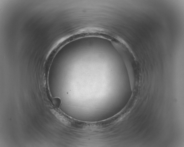 X0000079340973200612011929